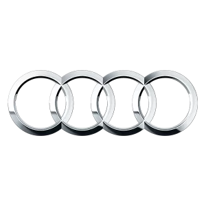 Audi Hood Struts